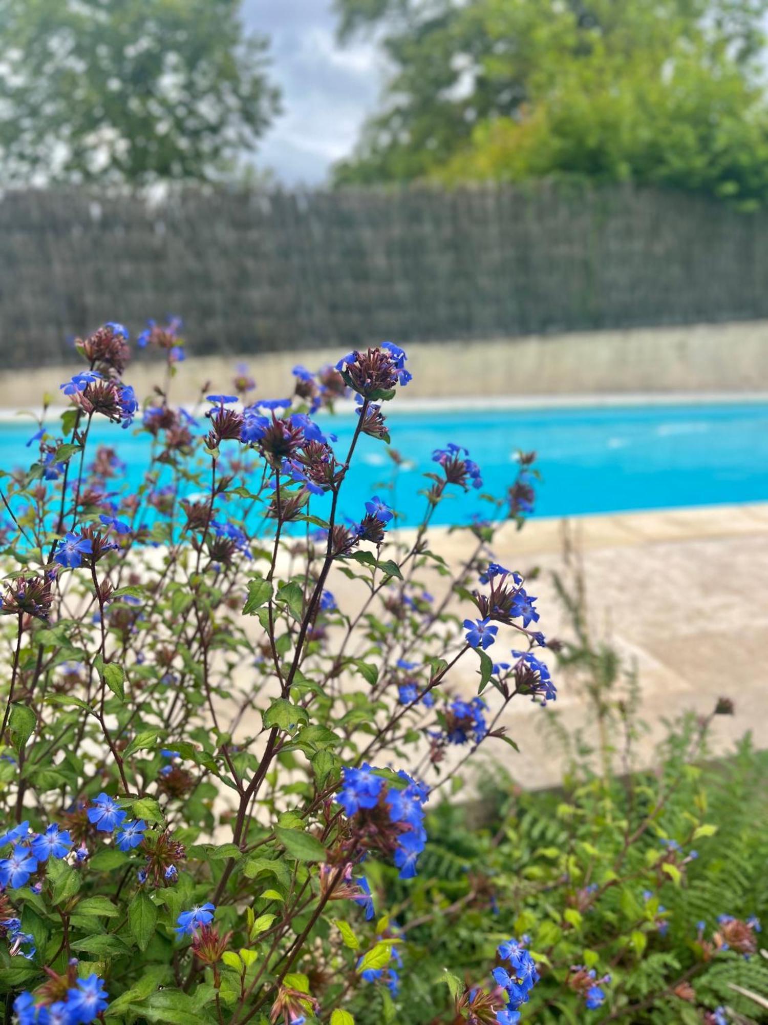 Saint-Aubin-des-Ormeaux Chambres Cosy Ben & Nad Proches Du Puy Dufou מראה חיצוני תמונה